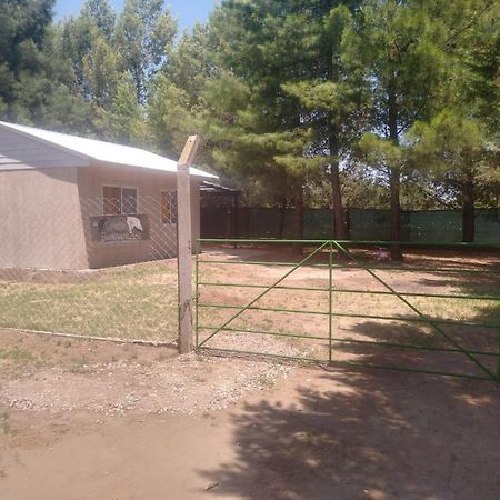 Los Cipreses Santa Rosa  Luaran gambar